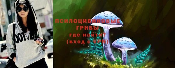 мдпв Верхний Тагил